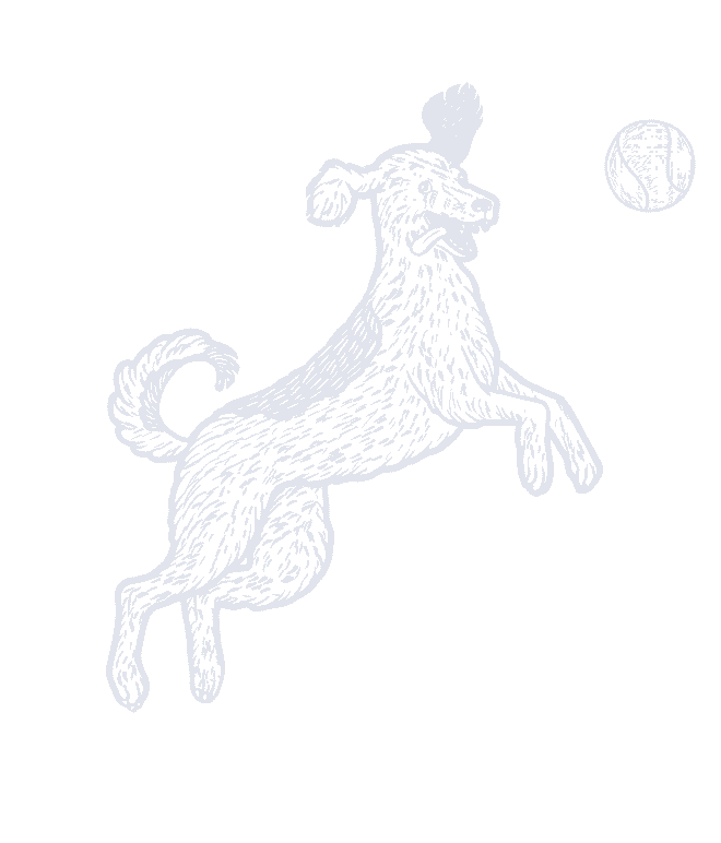 jumping dog illustration